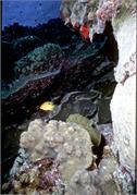 Bonaire 25